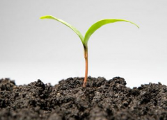 土壤養分速測儀效益廣