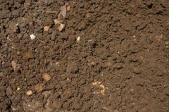 如何利用土壤養分檢測儀檢測？